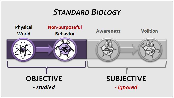 Diagram 2 - Standard Biology