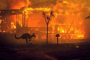 Australian Fires 2020