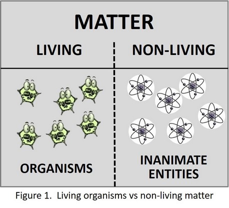 Figure 1 - Life is awareness, organisms are living matter