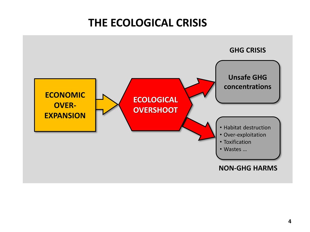 The Ecological Crisis