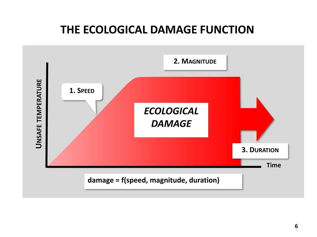 The Ecological Damage Function