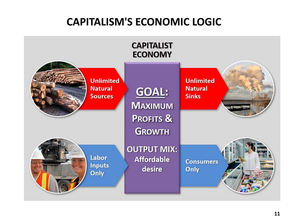 Capitalism's Economic Logic