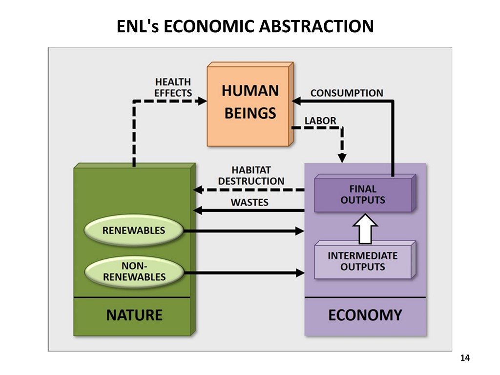 ENL's Economic Abstraction